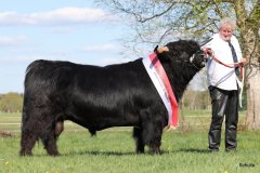 544-29-a-Alexander-vom-Nordlicht-Karl-Heinrich-Winter-Bad-Berleburg-13