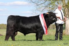 545-29-a-Alexander-vom-Nordlicht-Karl-Heinrich-Winter-Bad-Berleburg-14