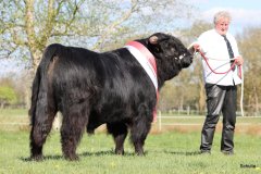 546-29-a-Alexander-vom-Nordlicht-Karl-Heinrich-Winter-Bad-Berleburg-15