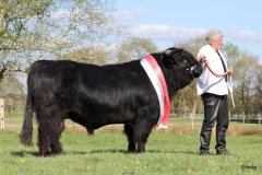 547-29-a-Alexander-vom-Nordlicht-Karl-Heinrich-Winter-Bad-Berleburg-16