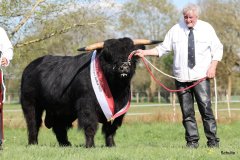 548-29-a-Alexander-vom-Nordlicht-Karl-Heinrich-Winter-Bad-Berleburg-17