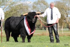 549-29-a-Alexander-vom-Nordlicht-Karl-Heinrich-Winter-Bad-Berleburg-18