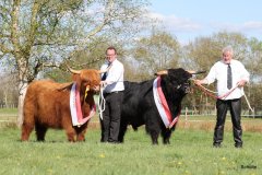 550-66-a-Beauty-Ruadh-2nd-vom-Sunderberg-Familie-Bange-Brilon-Scharfenberg-29-a-Alexander-vom-Nordlicht-Karl-Heinrich-Winter-Bad-Berleburg