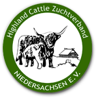 Highland Cattle Rinder