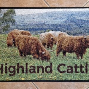 Fußmatten 60 x 40 Gruppe Highland