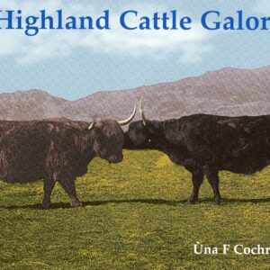 Buch Highland-Cattle Galore