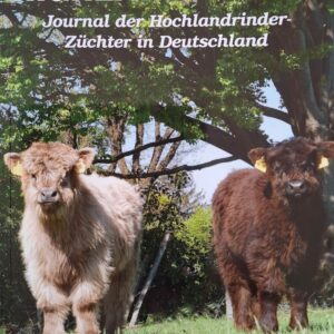 Journal BRD 26/21