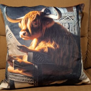 Kissen 45 x 45 (Zeitung)