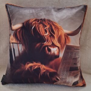 Kissen 45 x 45 (Kopf Zeitung)