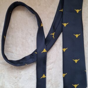 Krawatte Schottland blau