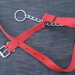 Jungrinderhalfter Gr. 2 mit Kette